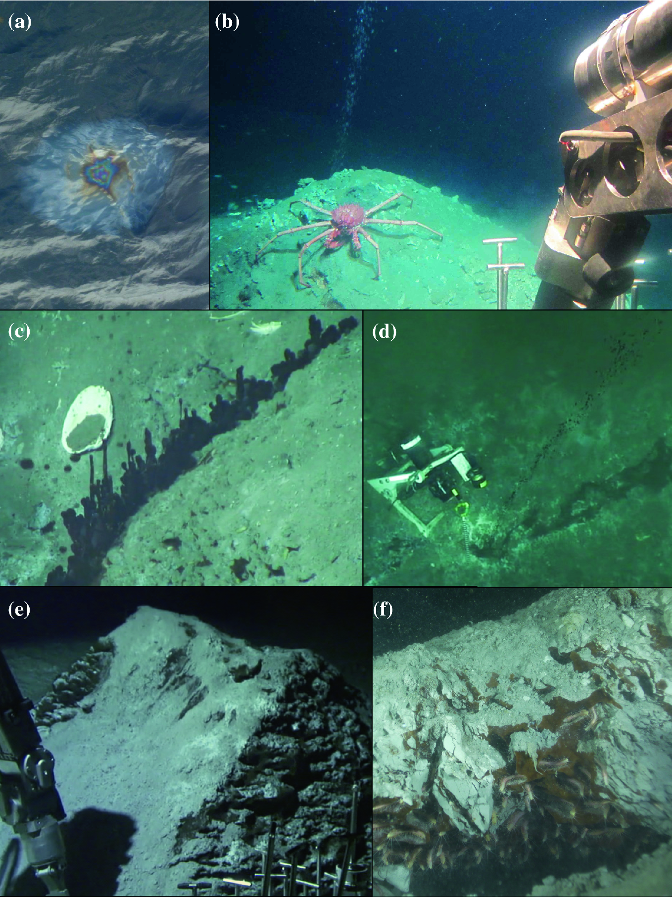 The Gulf Of Mexico An Introductory Survey Of A Seep Dominated