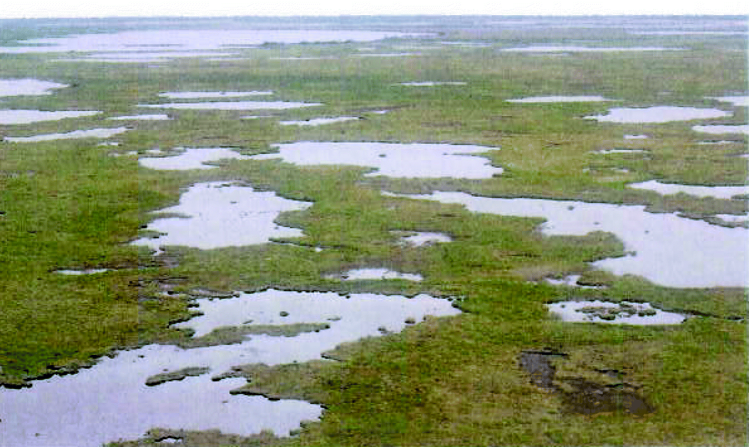 images Lowlands Landform landforms of the hudson bay lowlands