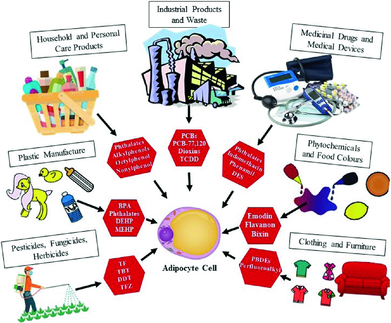 Adipocytes Under Environmental Assault Targets For Obesity