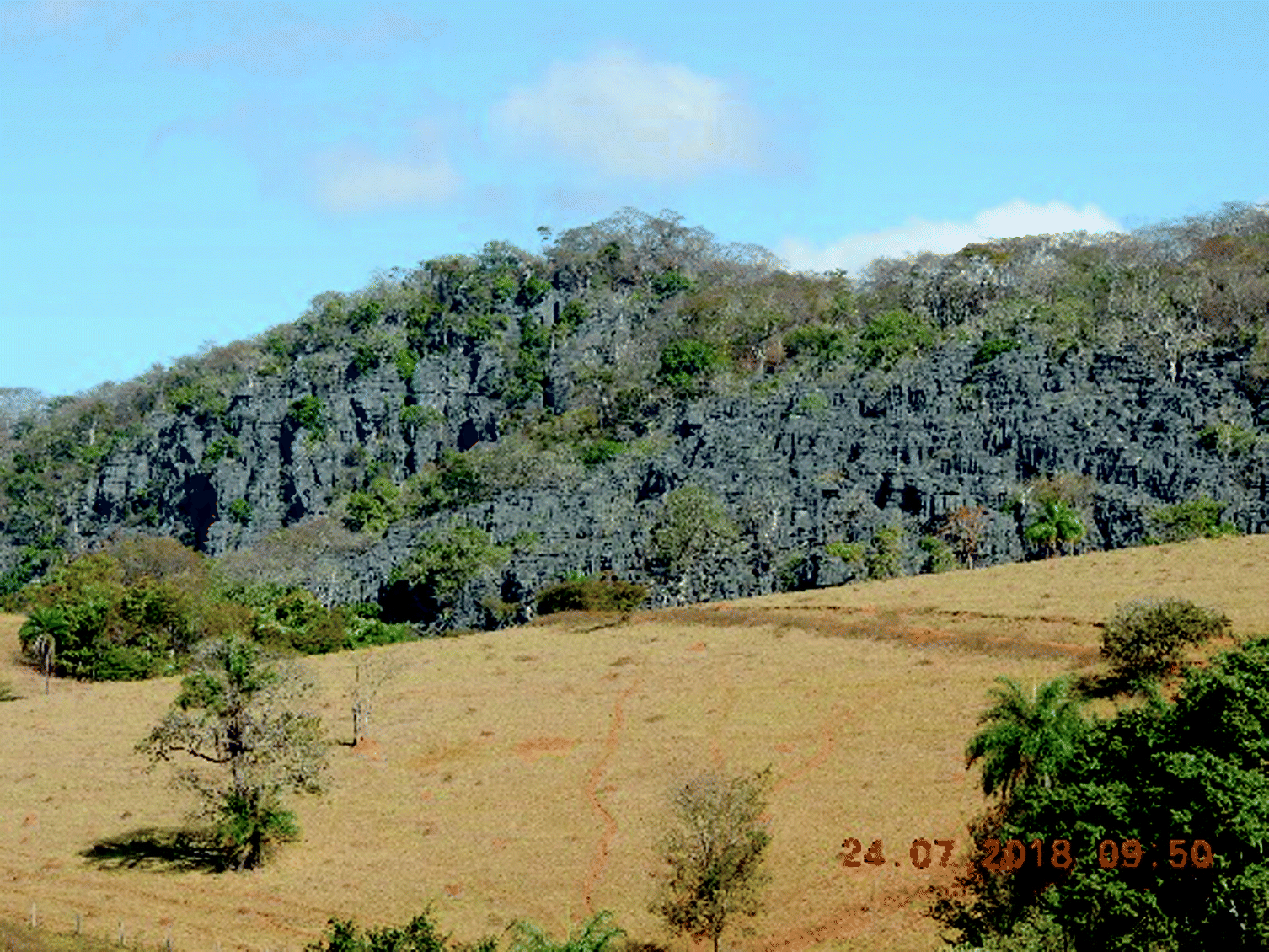 The Vegetation Of Lagoa Santa Karst Springerlink