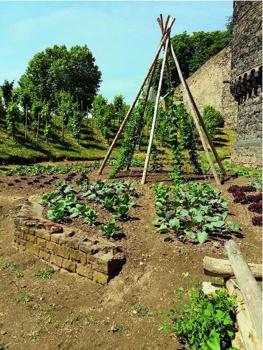 Urban Agriculture More Than Food Production Springerlink