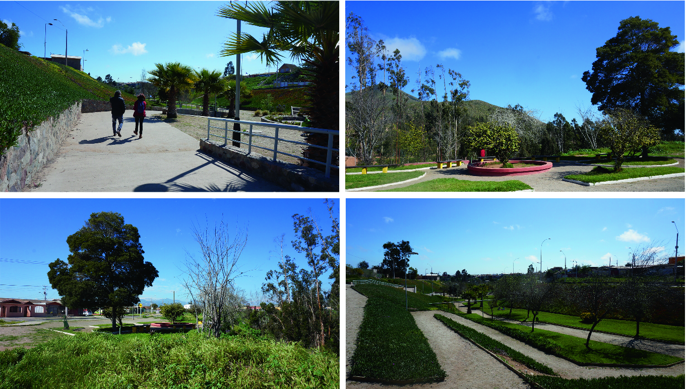 Multi Functional Urban Green Spaces Springerlink