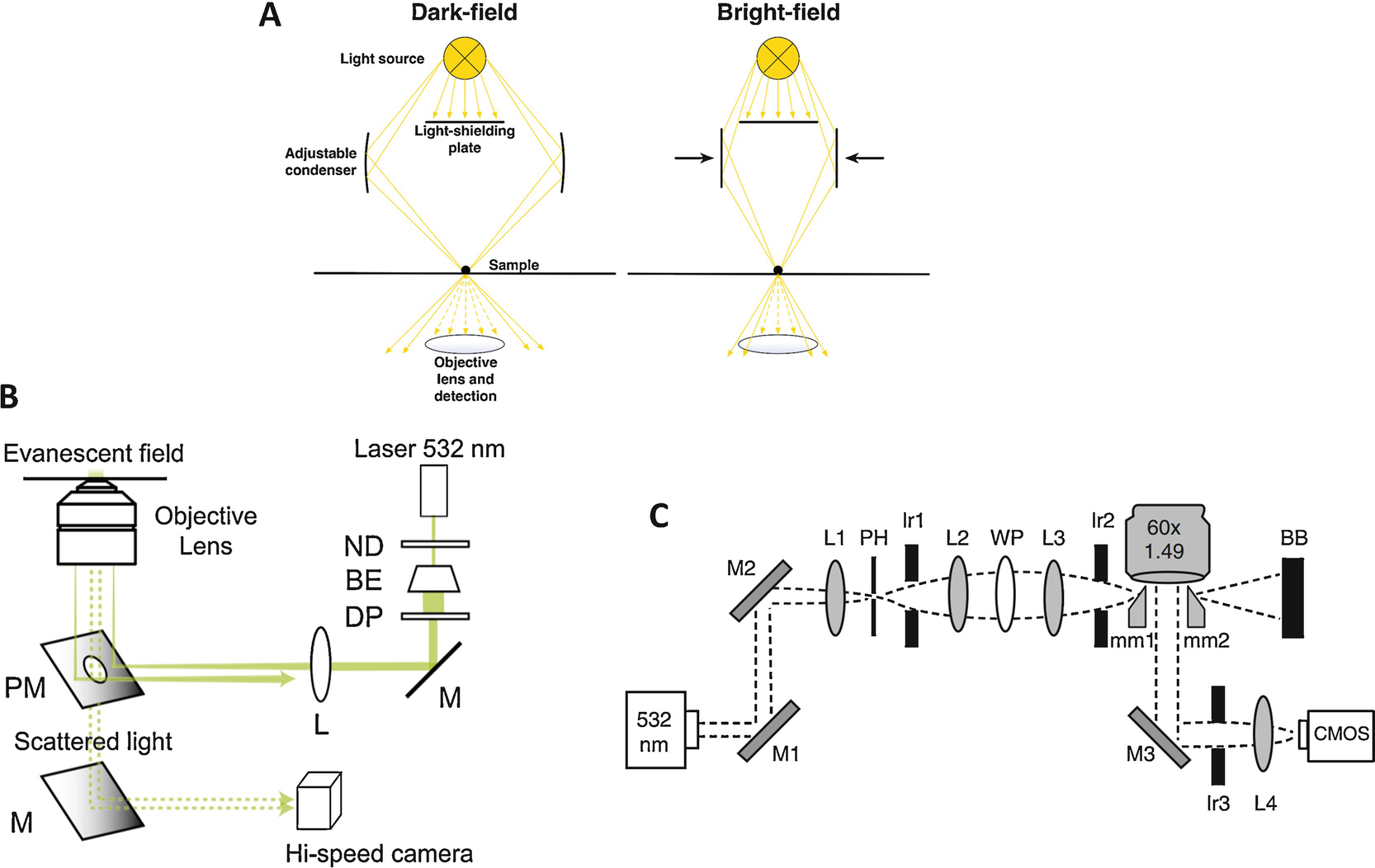 Single Molecule Biophysical Techniques To Study Actomyosin Force Transduction Springerlink