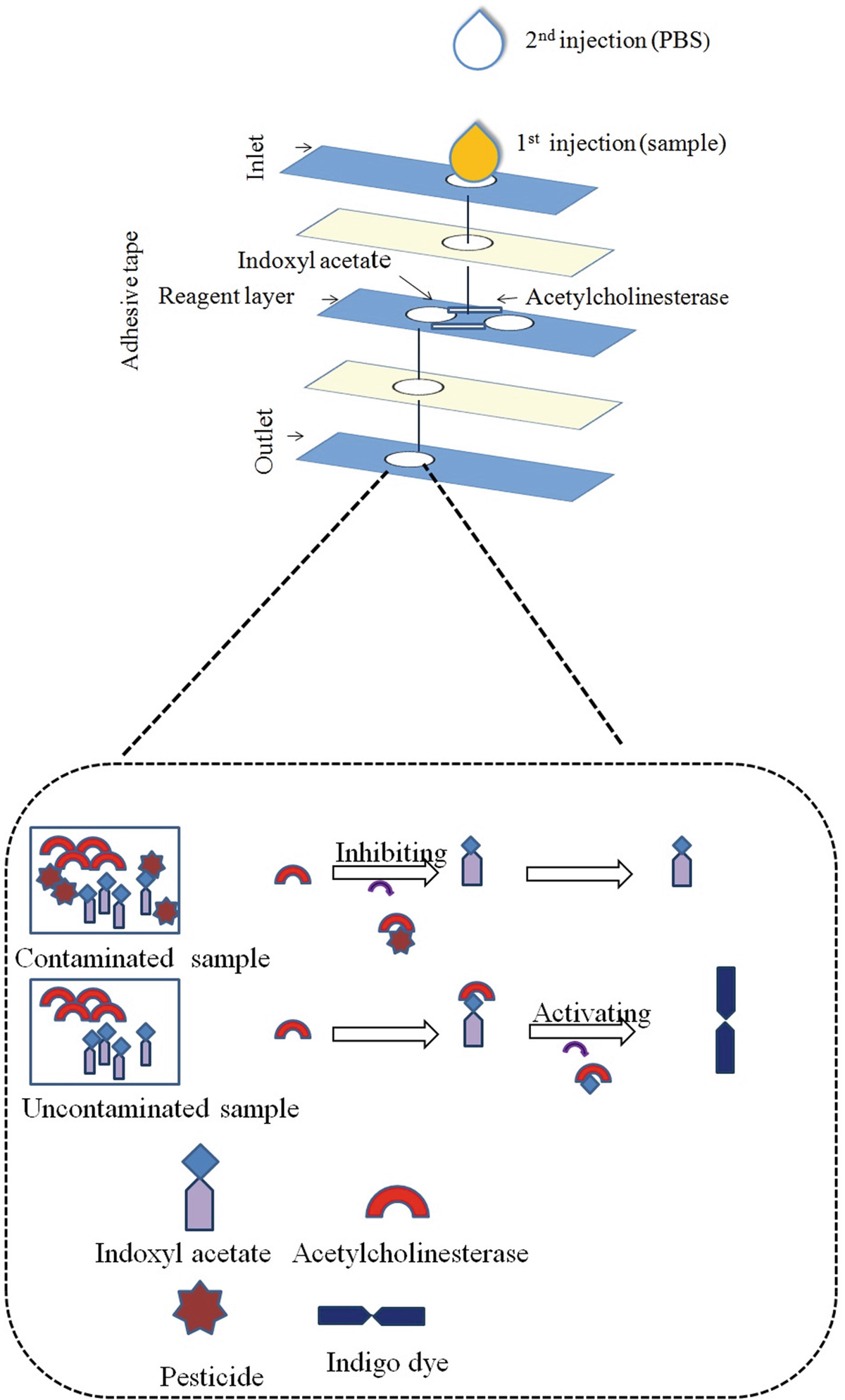 Development Of Optical Sensor Strips For Point Of Care Testing For Pesticide Springerlink