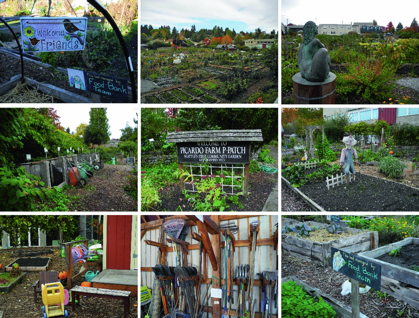 Urban Agriculture Cui Prodest Seattle S Picardo Farm As Seen By