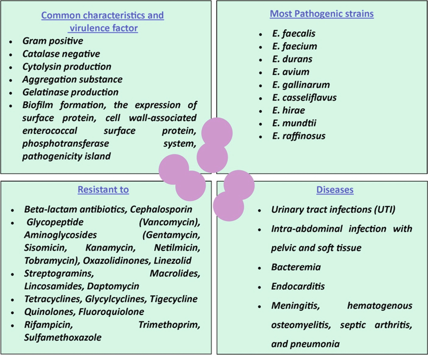 Enterococcus faecalis la prostată