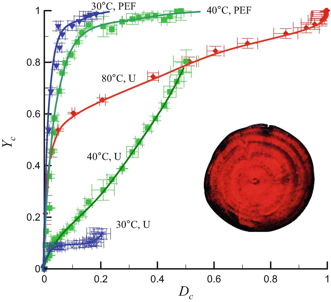 Solid Liquid Extraction And Expression Springerlink