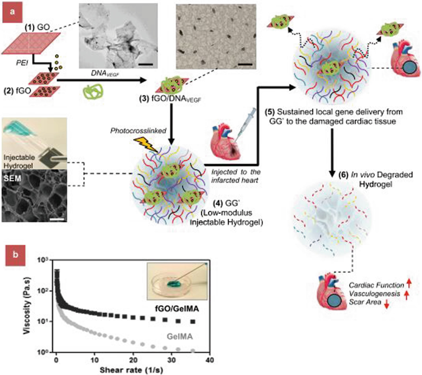 Nanomedicine For Ischemic Diseases Recent Development And Future Challenges Springerlink Nanomedicine For Ischemic Diseases Recent Development And Future Challenges Springerlink
