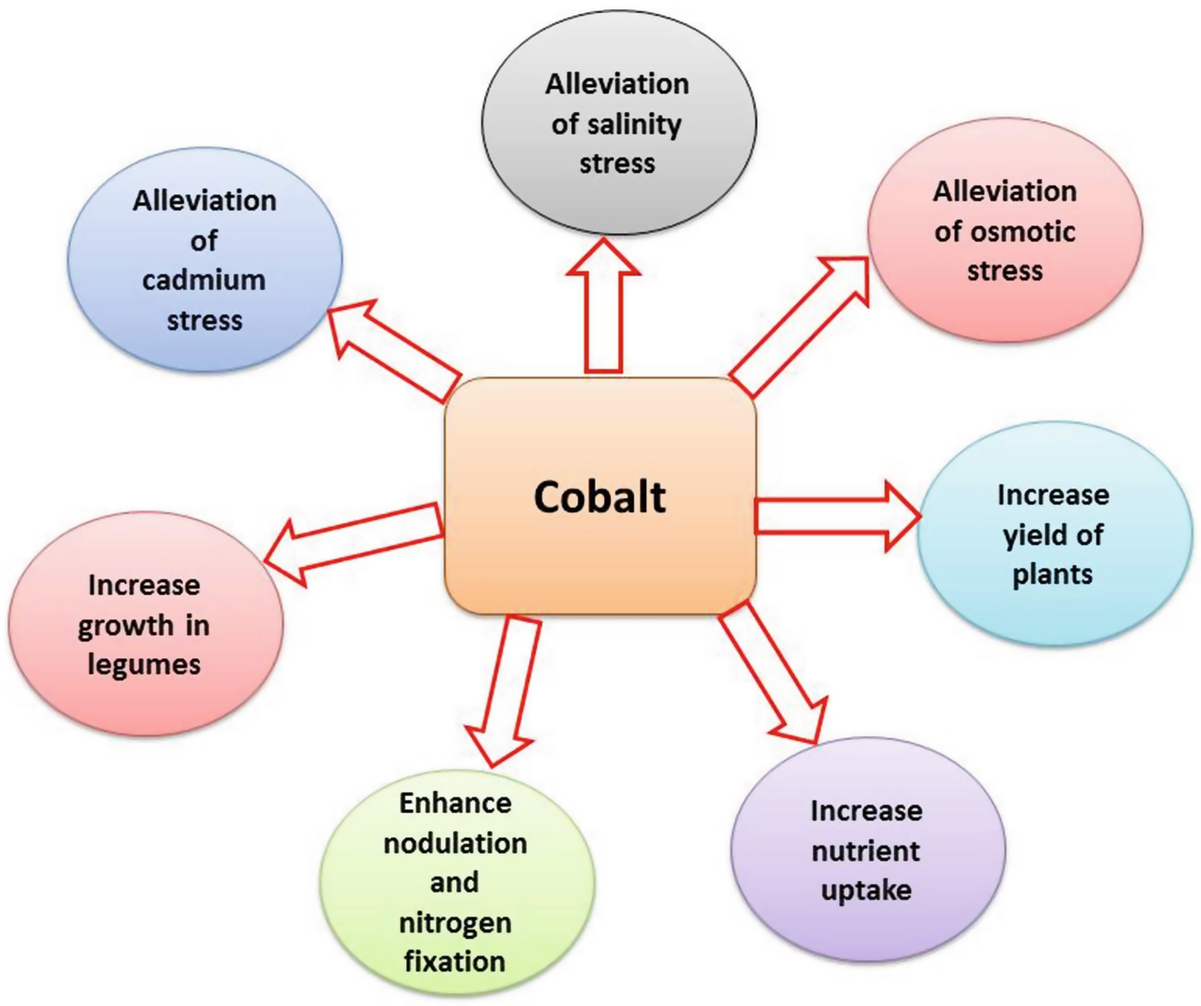 Role Of Cobalt In Plants Its Stress And Alleviation Springerlink
