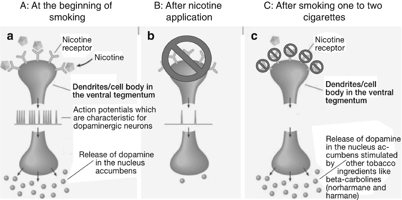 Therapeutic Strategies In Alcohol And Tobacco Addiction Springerlink