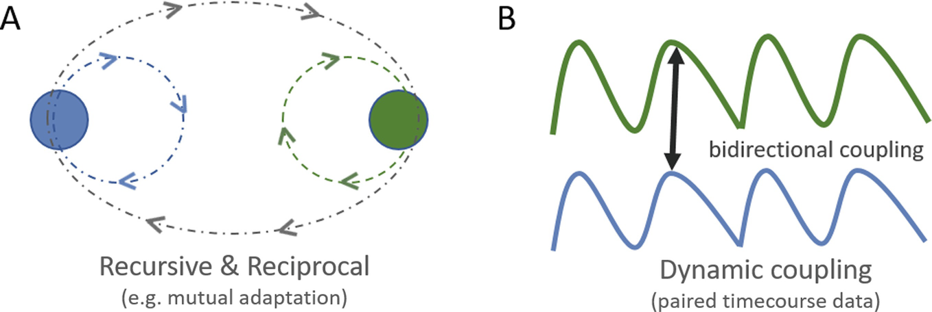 Modeling Dynamic Coupling In Social Interactions Springerlink