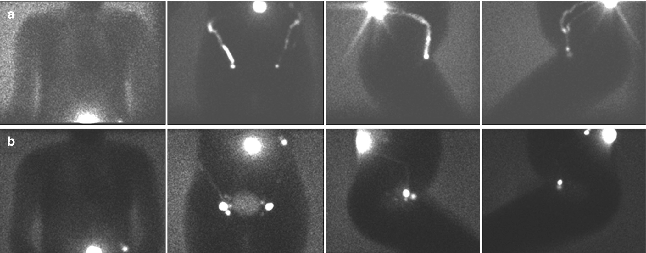 Speed Dating Night In Cloquet