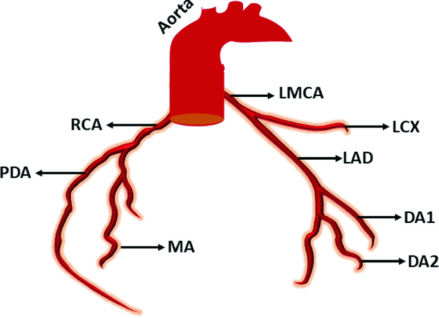 Inflammation And Epicardial Adipose Tissue In The Pathobiology Of Atherogenesis And Neointimal Hyperplasia Following Coronary Intervention Springerlink Inflammation And Epicardial Adipose Tissue In The Pathobiology Of Atherogenesis And Neointimal Hyperplasia Following Coronary Intervention Springerlink