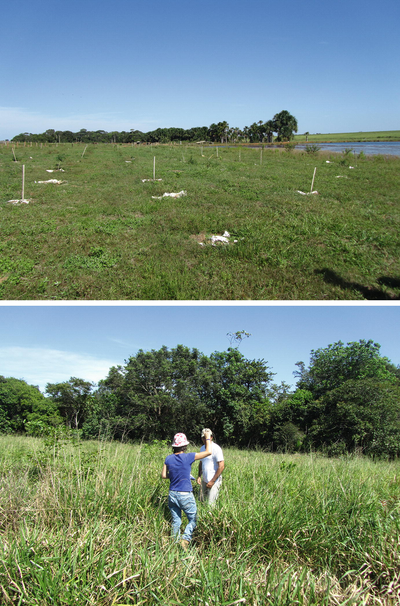 Ngo Ndet Pa Khre Environmental Governance For The Future Of The Xingu River Mato Grosso Brazil Springerlink Ngo Ndet Pa Khre Environmental Governance For The Future Of The Xingu River Mato Grosso Brazil Springerlink