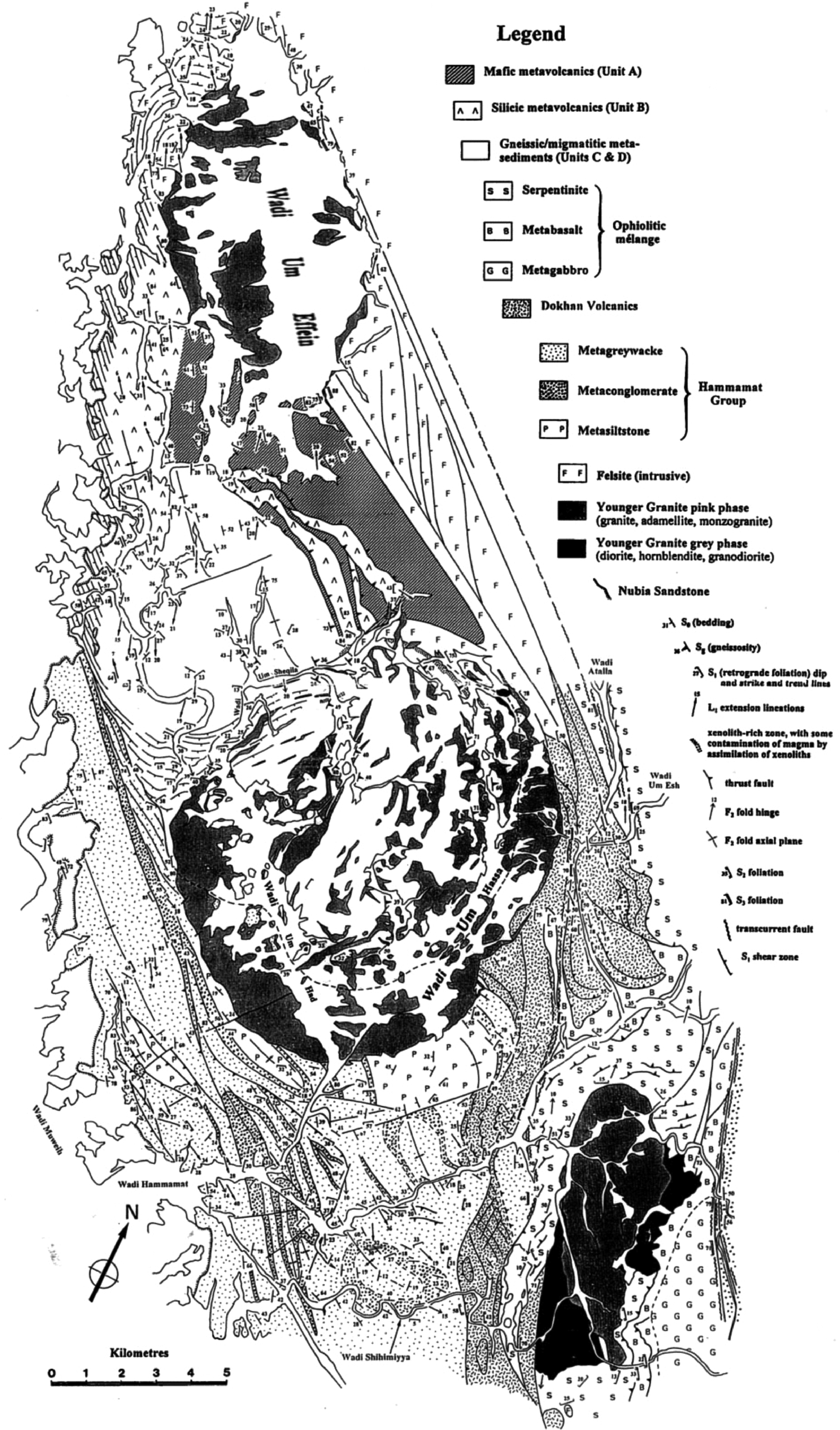 The Infracrustal Rocks In The Egyptian Nubian Shield An Overview And Synthesis Springerlink