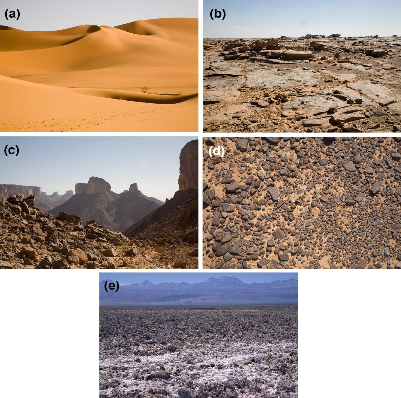 Zonal Vegetation Of The Tropical Subtropical Dry Zone Springerlink