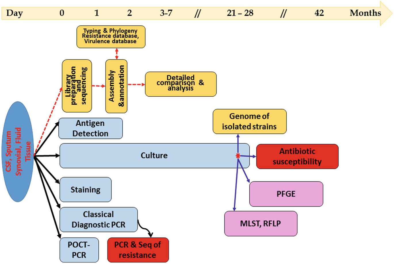 Dna Barcoding On Bacteria And Its Application In Infection Management Springerlink