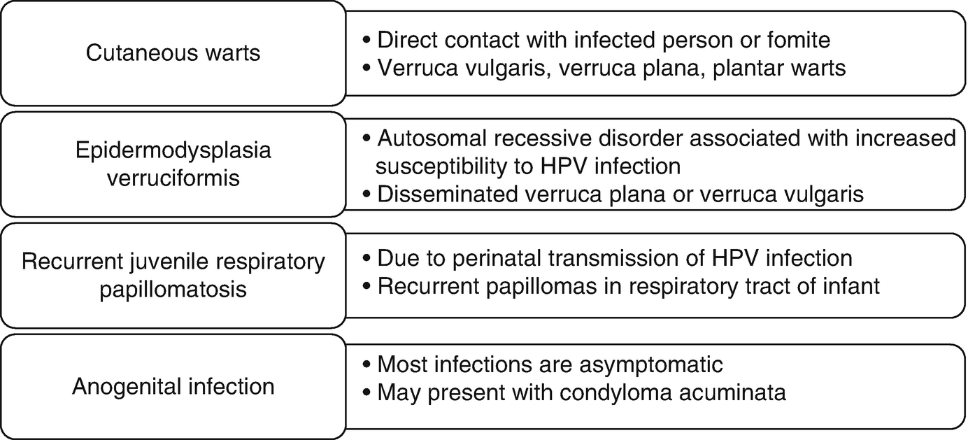 papillomavirus manifestation