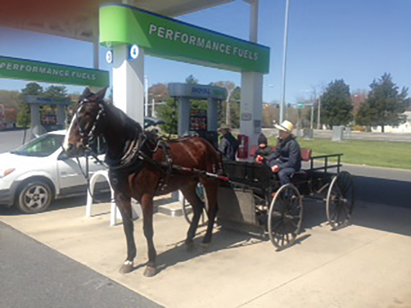 People Of Amish Heritage Springerlink