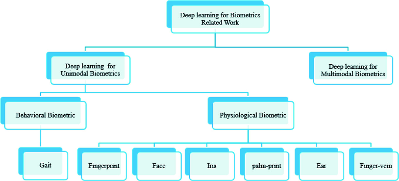 deep learning in biometrics