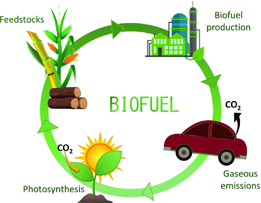 Microbial Bioresources for Biofuels Production: Fundamentals and  Applications | SpringerLink