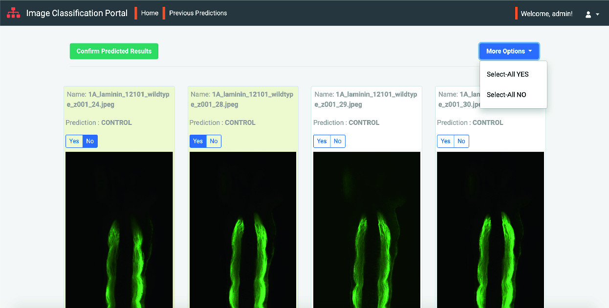 Deep Transfer Learning Based Web Interfaces For Biology Image Data Classification Springerlink