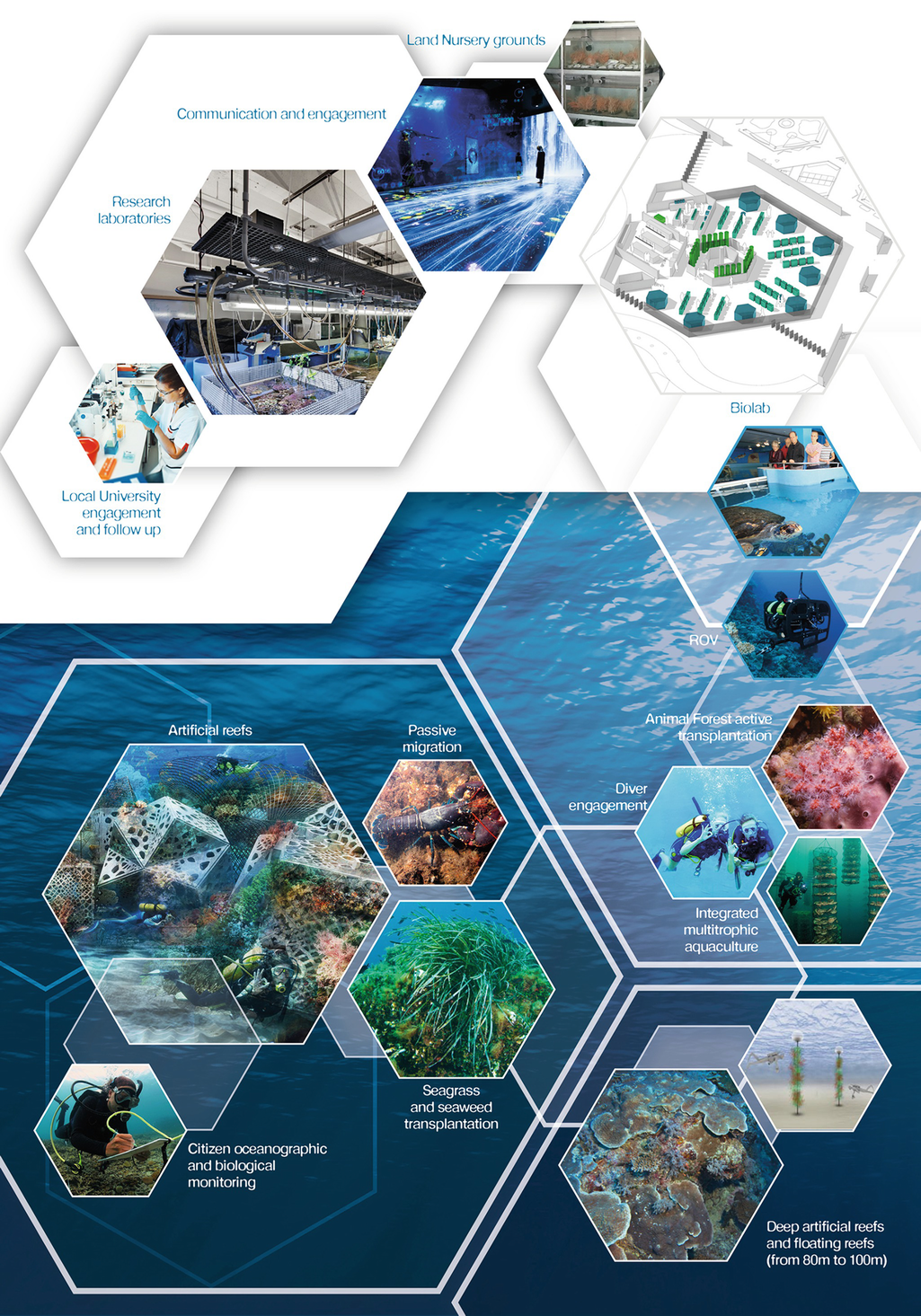 Marine Animal Forests As Carbon Immobilizers Or Why We Should Preserve These Three Dimensional Alive Structures Springerlink Marine Animal Forests As Carbon Immobilizers Or Why We Should Preserve These Three Dimensional Alive Structures Springerlink