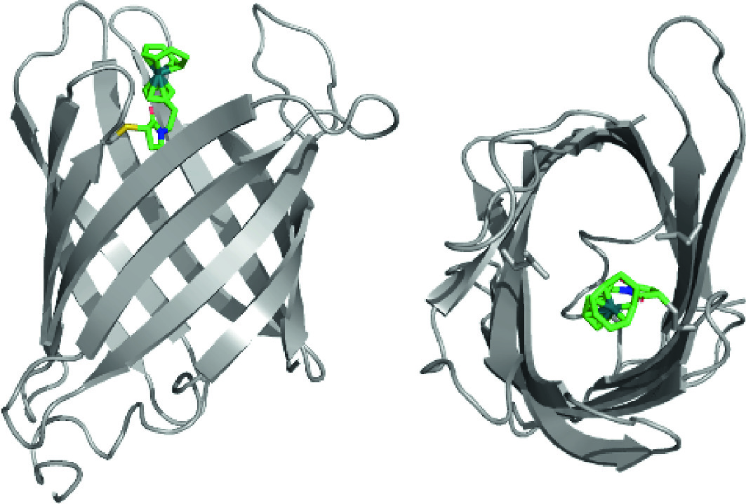 Current Applications Of Artificial Metalloenzymes And Future Developments Springerlink