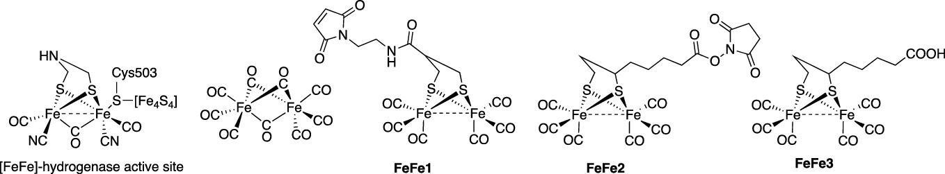 Current Applications Of Artificial Metalloenzymes And Future Developments Springerlink