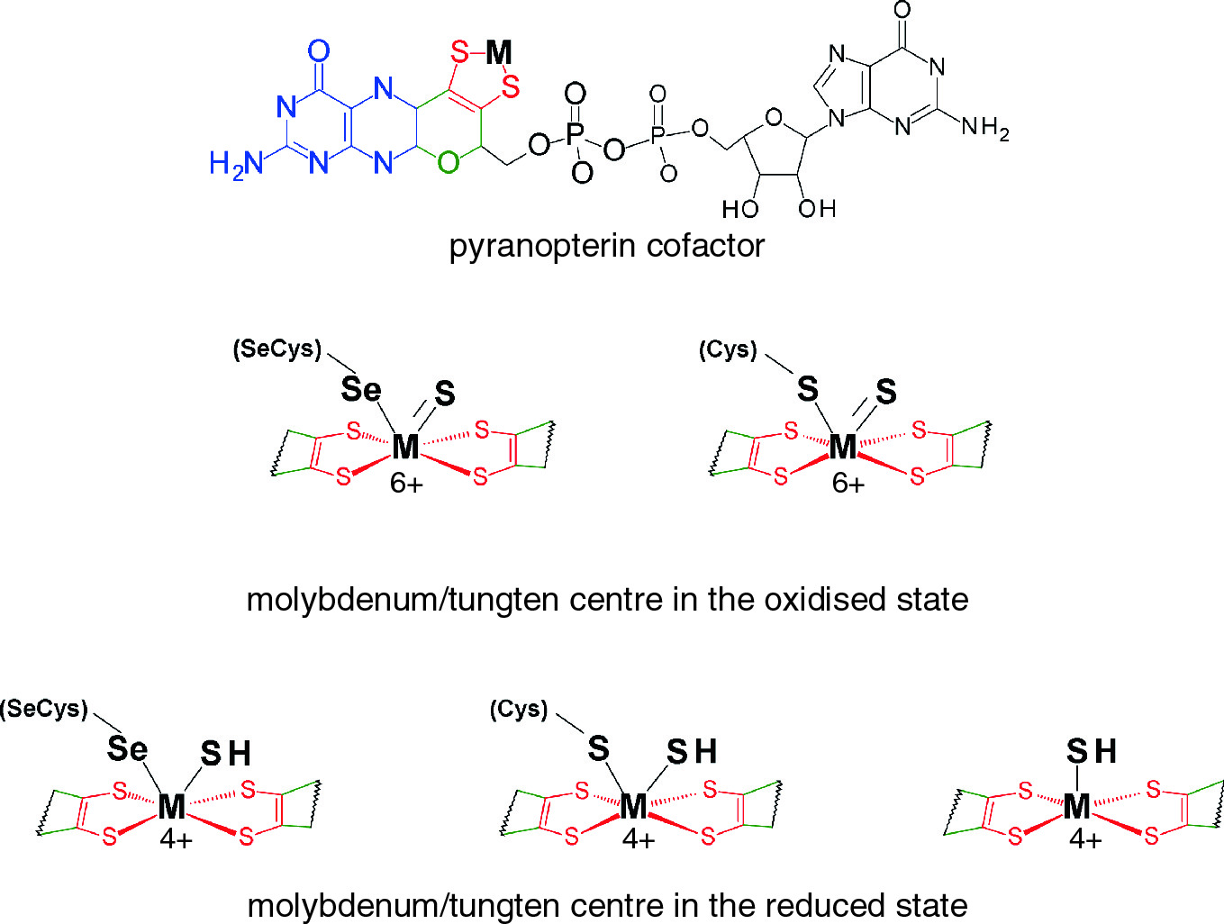 Carbon Dioxide Utilisation The Formate Route Springerlink