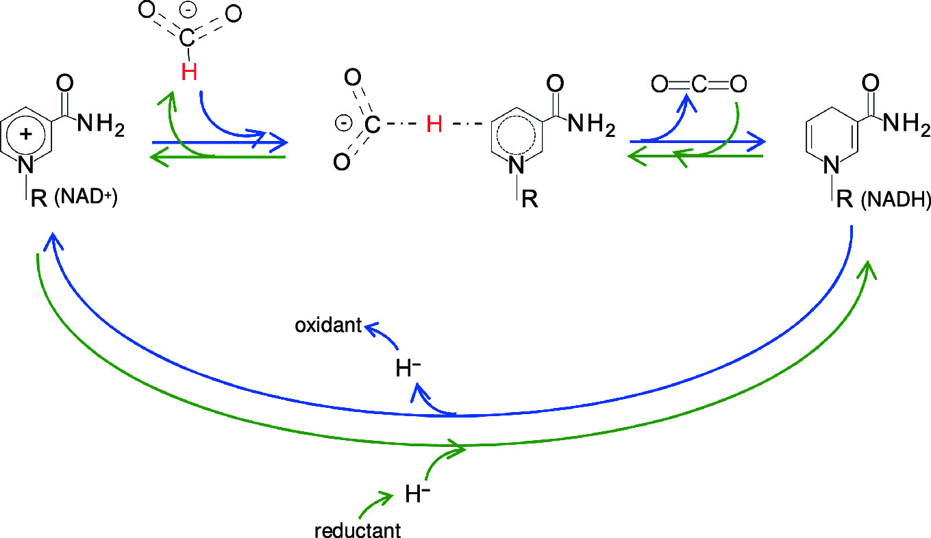 Carbon Dioxide Utilisation The Formate Route Springerlink