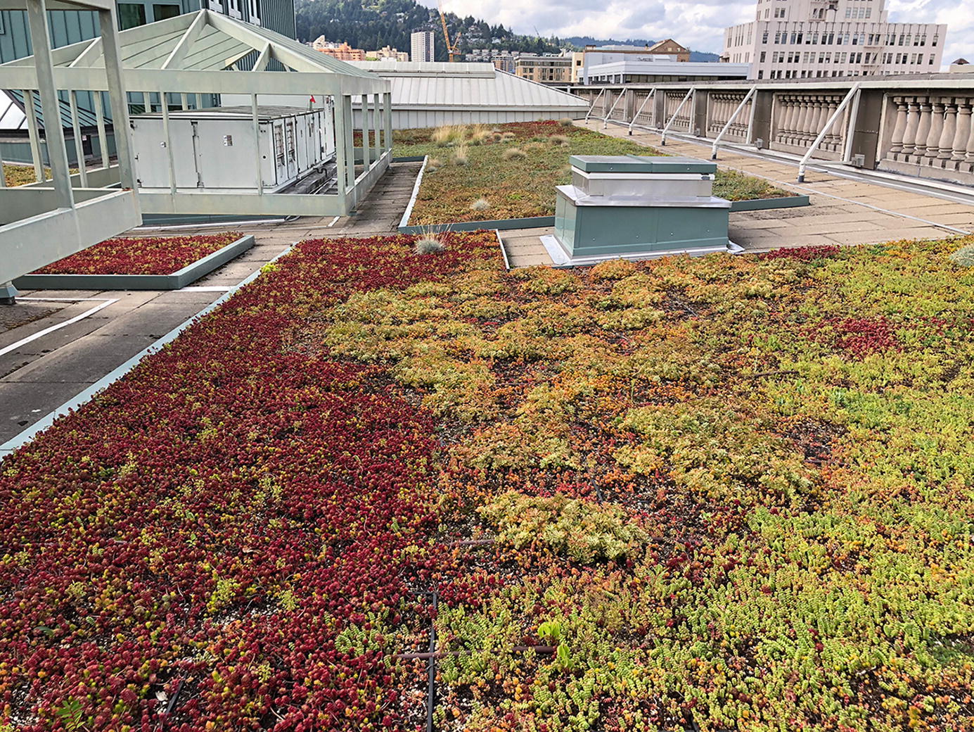 Green Roofs In Willamette Valley Ecoregions Springerlink