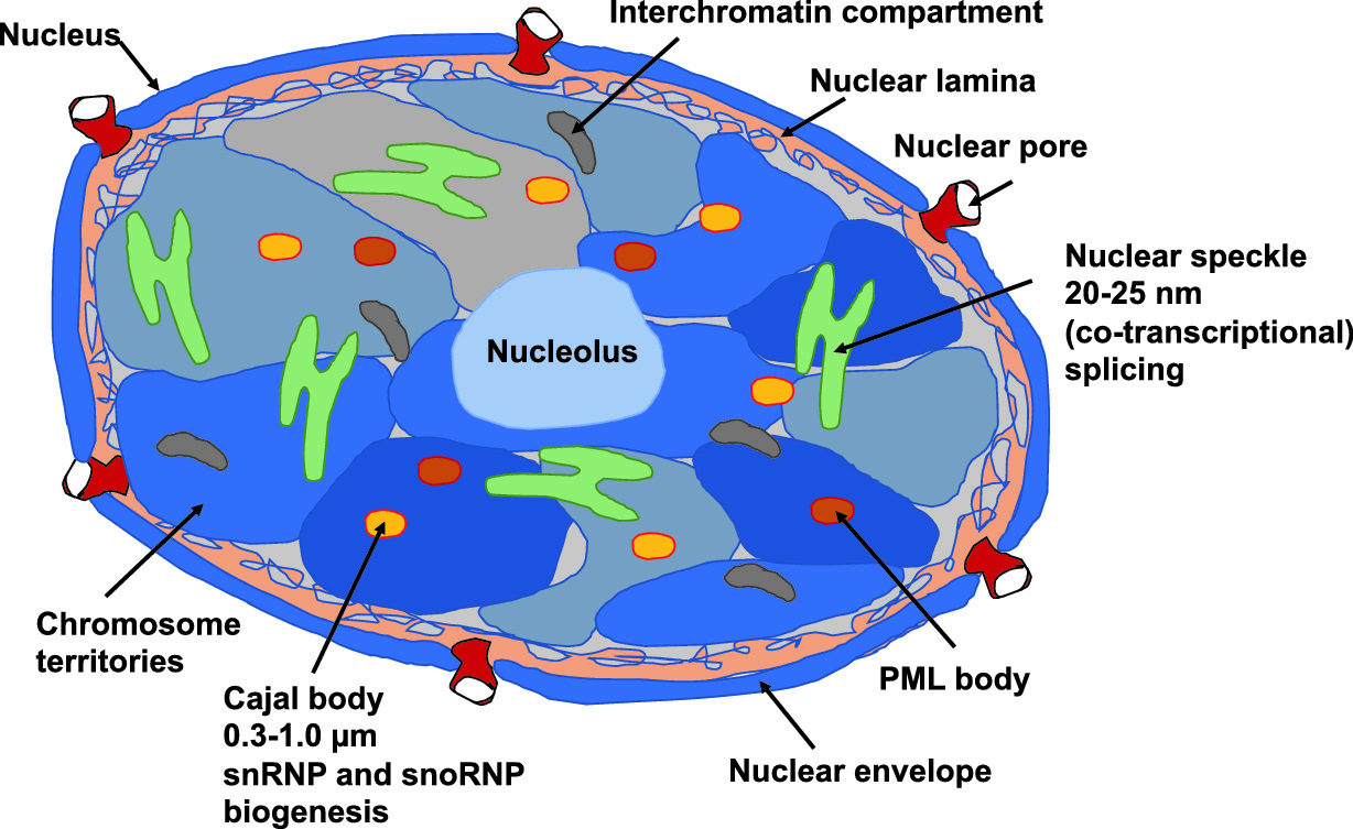u8 nucleus app u8 nucleus app
