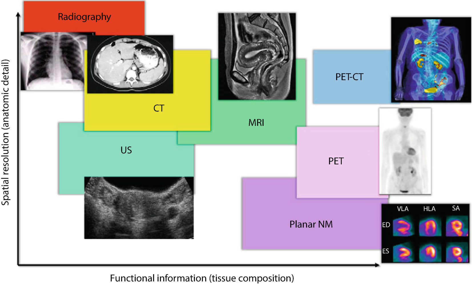 Biomedical Imaging Informatics Springerlink