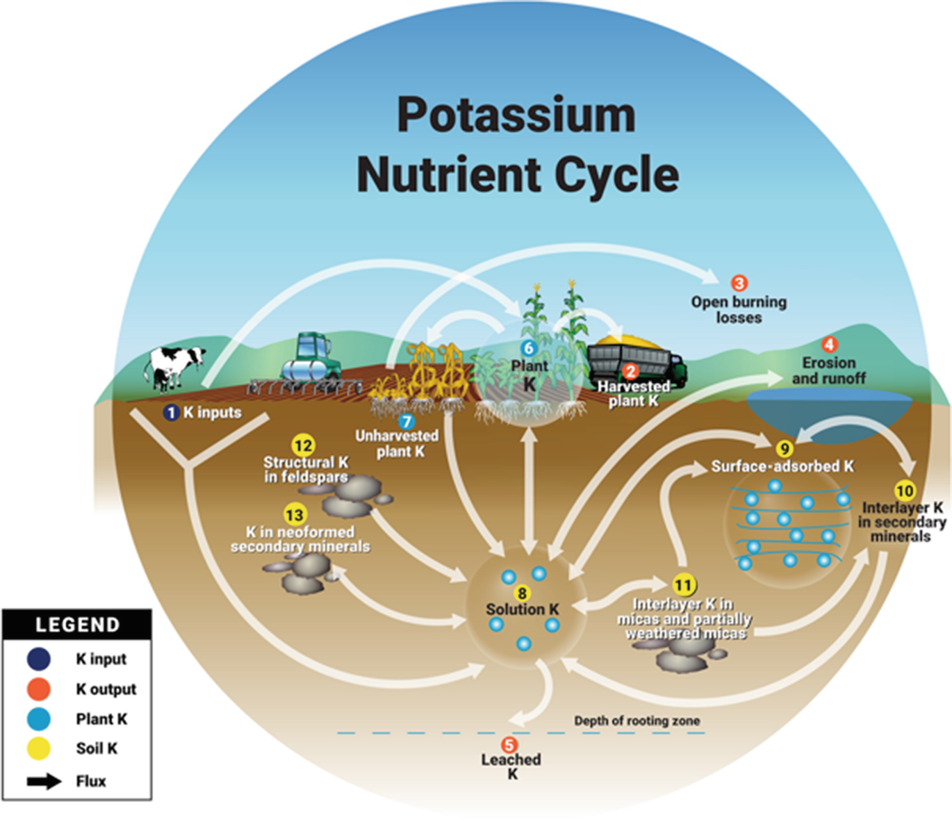 Inputs: Potassium Sources for Agricultural Systems | SpringerLink