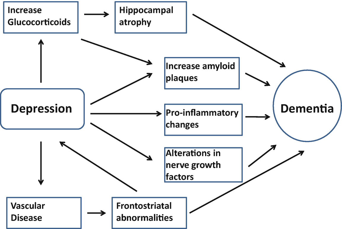 Drag the labels onto the diagram of neurochemical communication at an autonomic synapse.