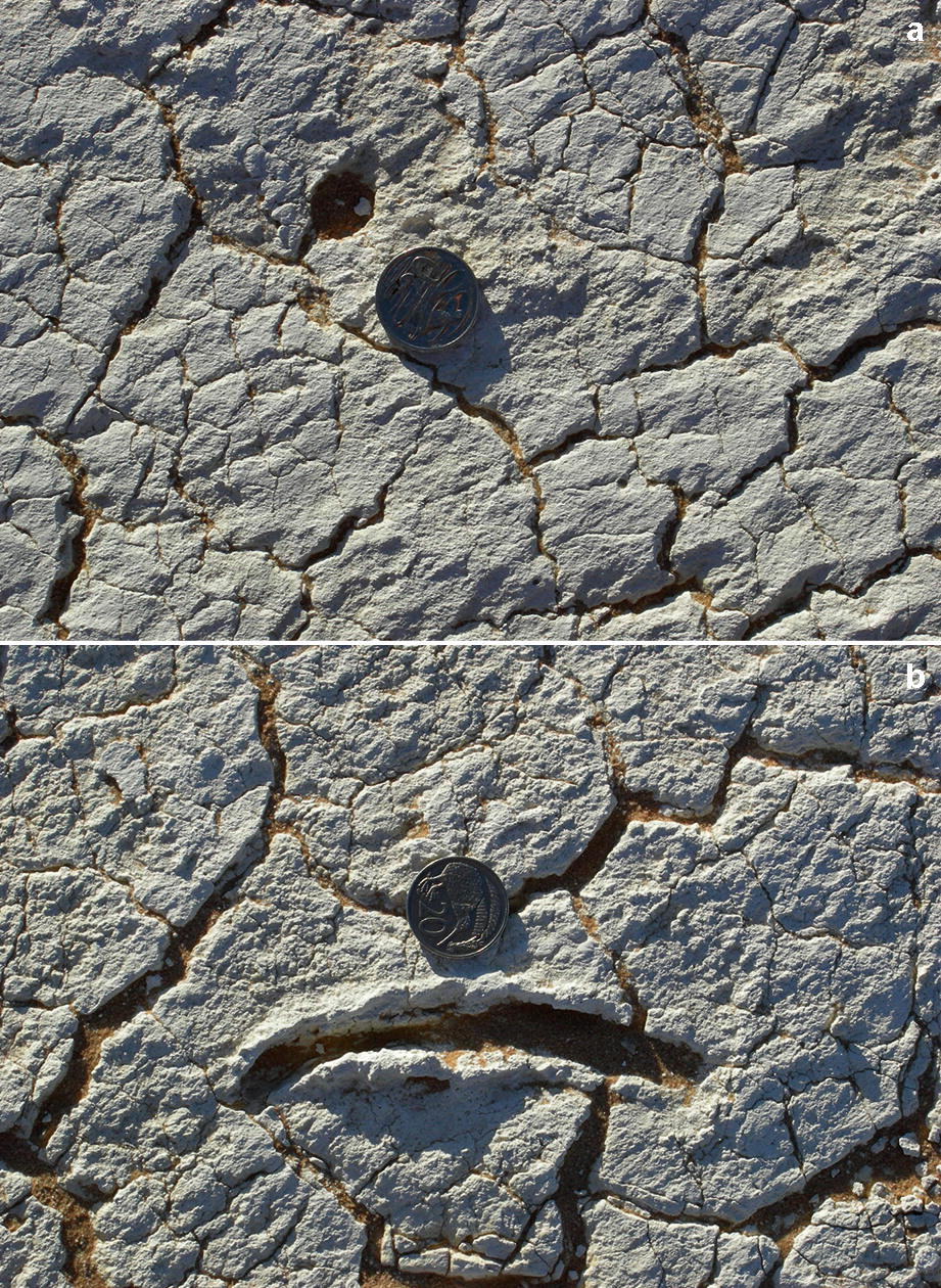 An Echo From A Footprint A Step Too Far Springerlink An Echo From A Footprint A Step Too Far Springerlink