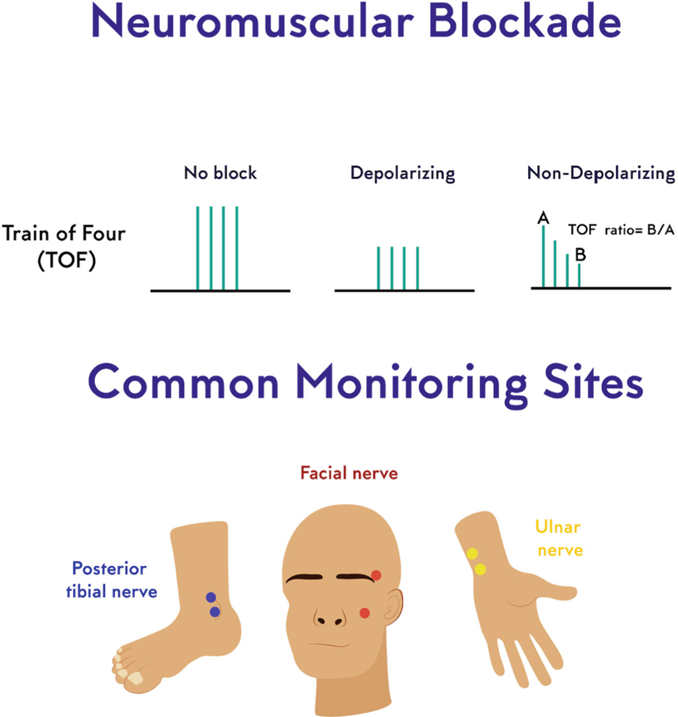 Anesthesia Springerlink