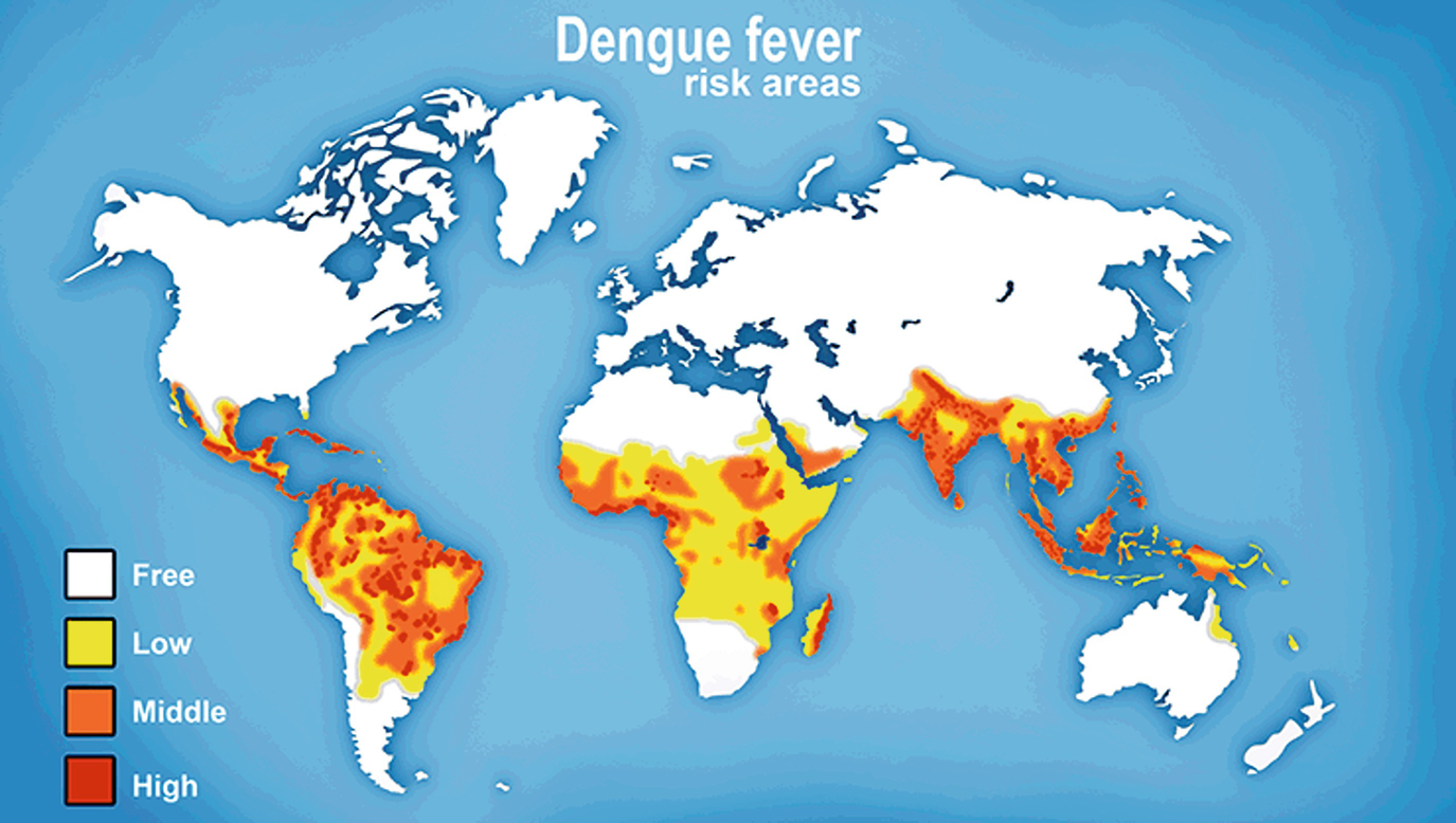 Dynamic Mapping And Visualizing Dengue Incidences In Malaysia Using Machine Learning Techniques Springerlink