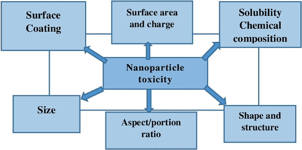 Nano Toxicity And Aquatic Food Chain Springerlink