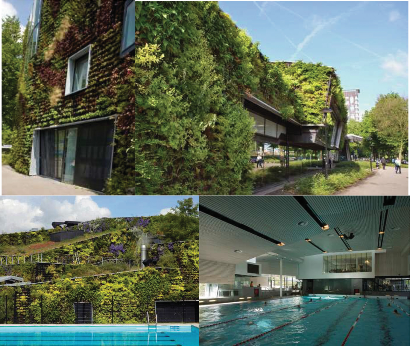 The Added Value of Greenery for Sustainable Building: The Perspective from  the Netherlands | SpringerLink