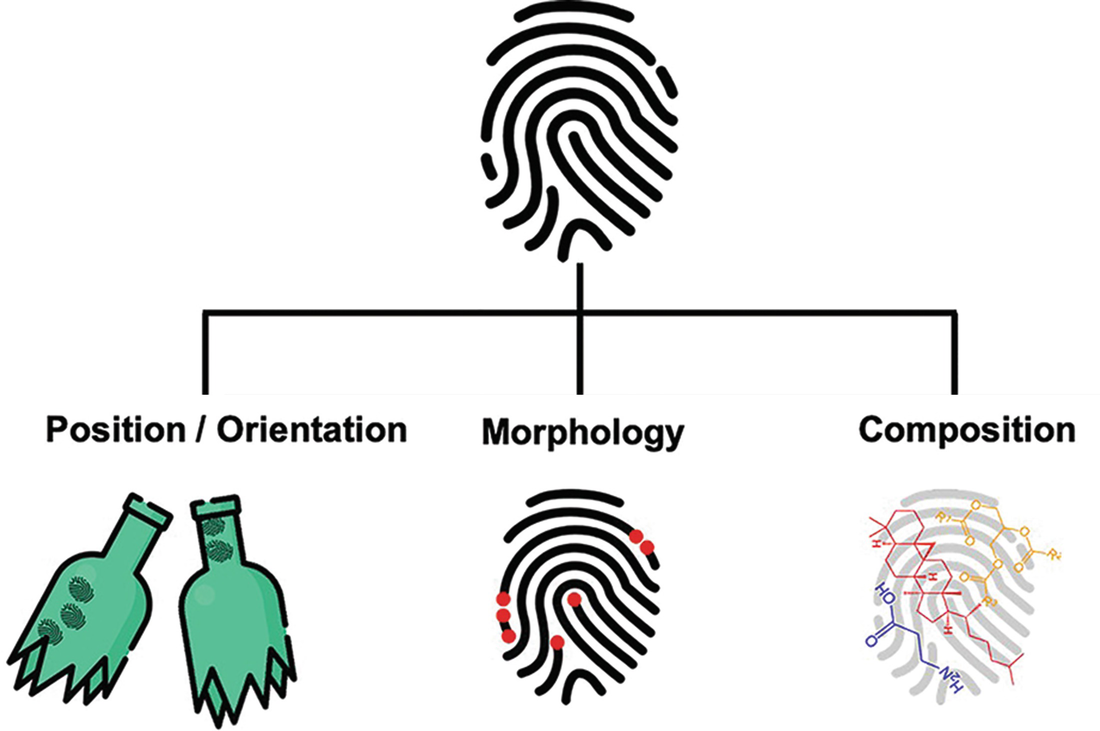 Past, and Future of the Forensic Use Fingermarks SpringerLink