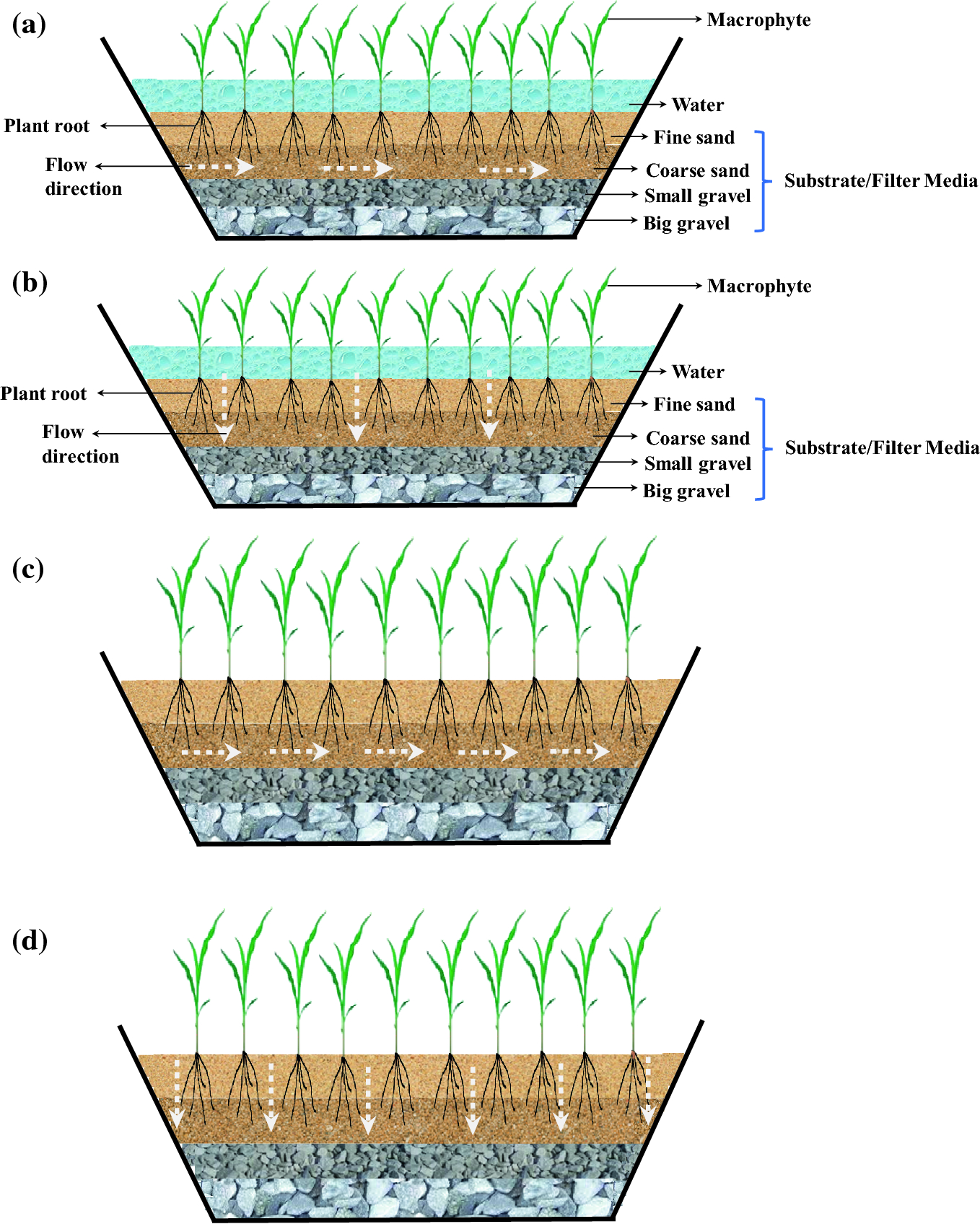 removal of nitrogen oxyanion nitrate in constructed wetlands springerlink