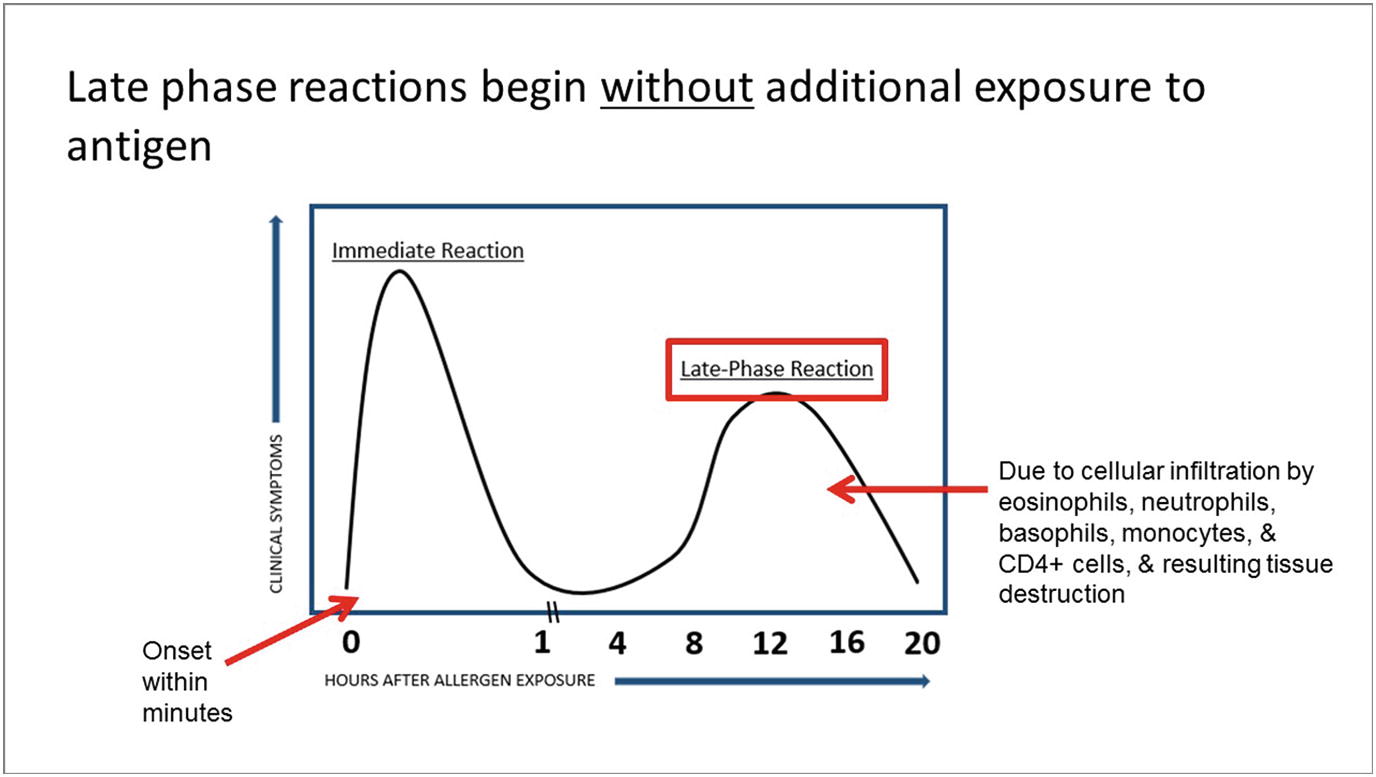 The Basics Of Slide Design Springerlink