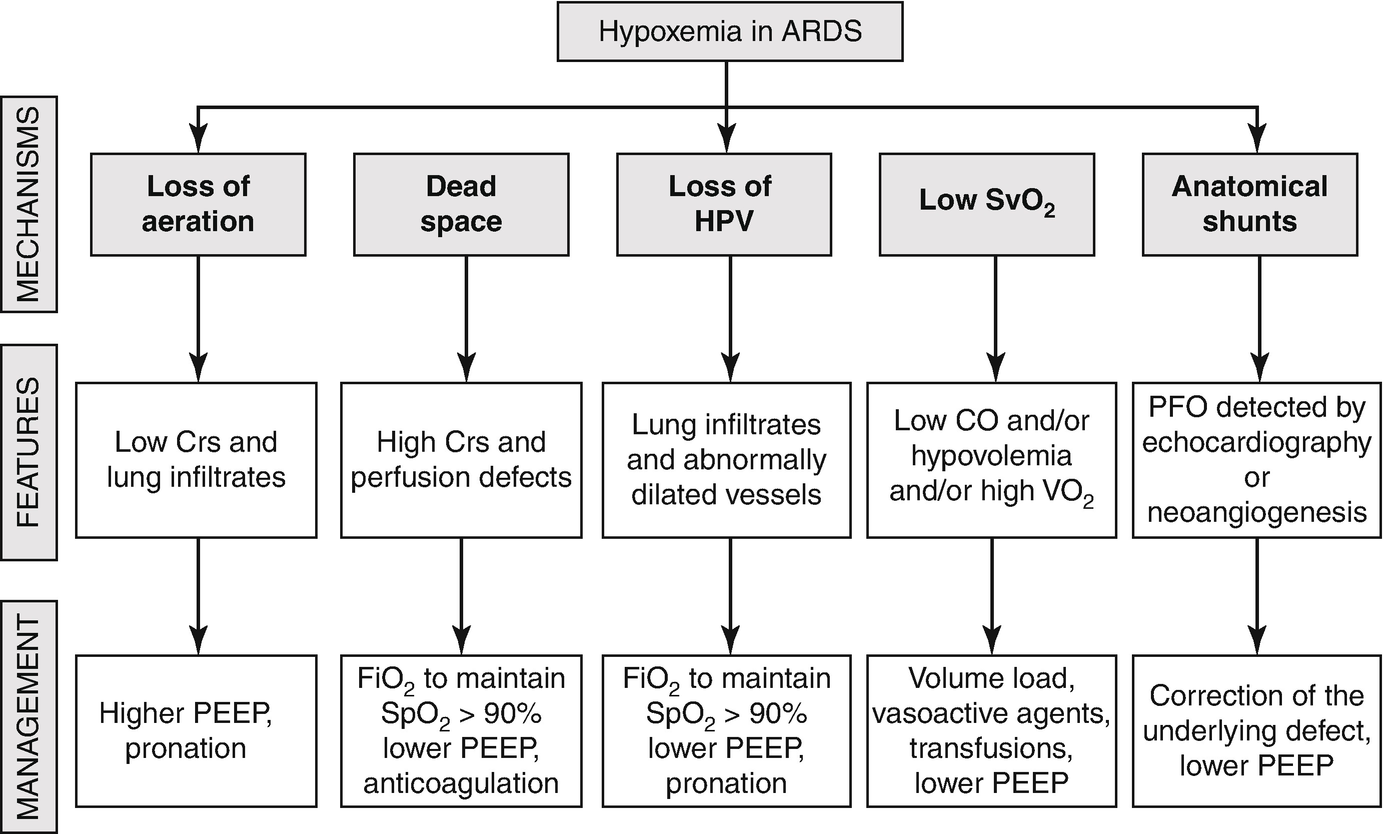 Mechanisms of Hypoxemia in the Acute Respiratory Distress Syndrome |  SpringerLink