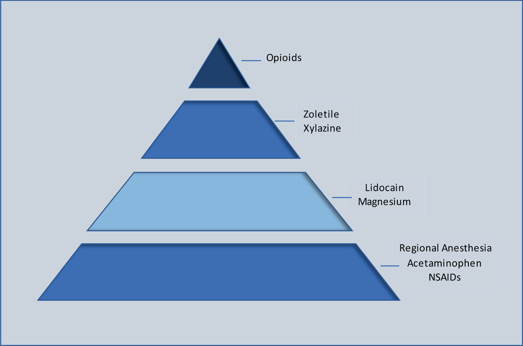 Preoperative Management and Anesthesia SpringerLink