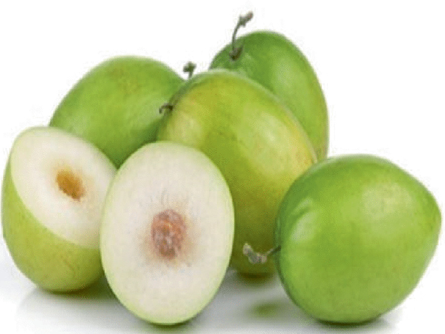 Ber Jujube Ziziphus Mauritiana Morphology Taxonomy Composition And Health Benefits Springerlink