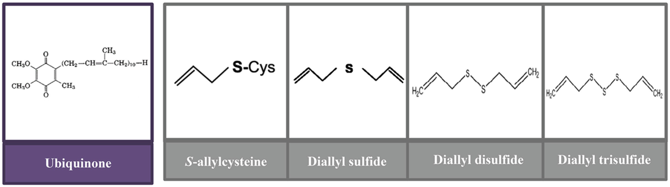 The Role of Antioxidant on Health and Age-Related Diseases in 