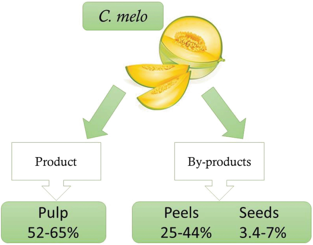 Leveraging the Cucumis melo Wastes | SpringerLink