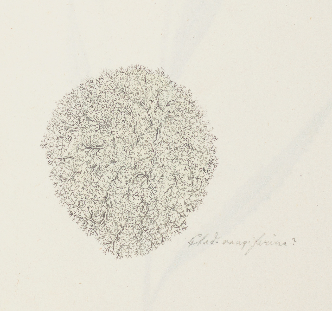 Reindeer Pastoralism  SpringerLink